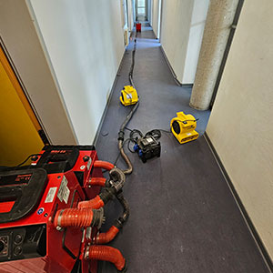 Estrich Dämmschicht Trocknung